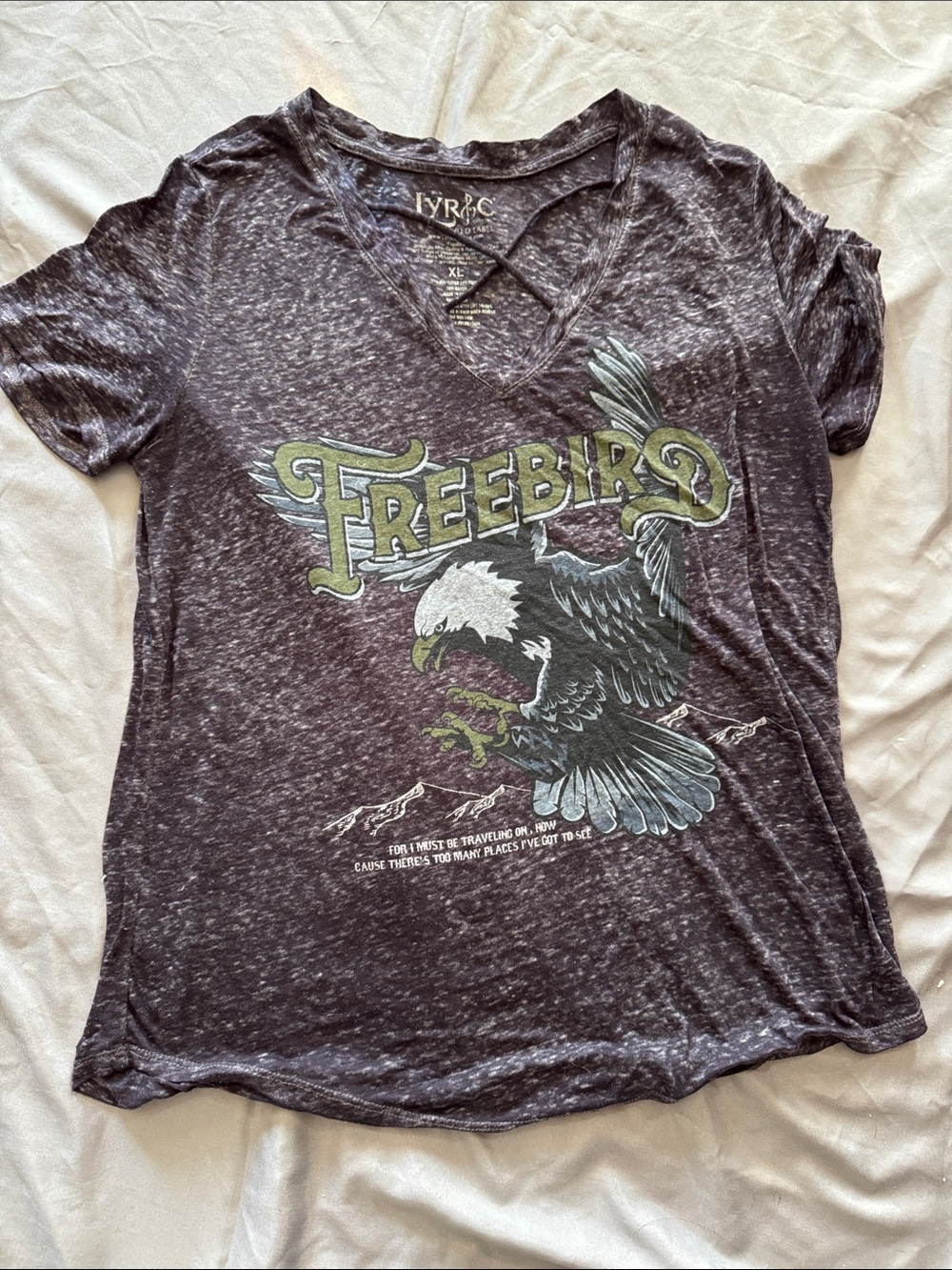 Freebird Graphic Eagle V-Neck Tee - Black/Gray